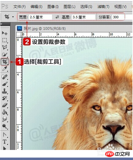 手把手教你用photoshop自制电子版一寸两寸标准照
