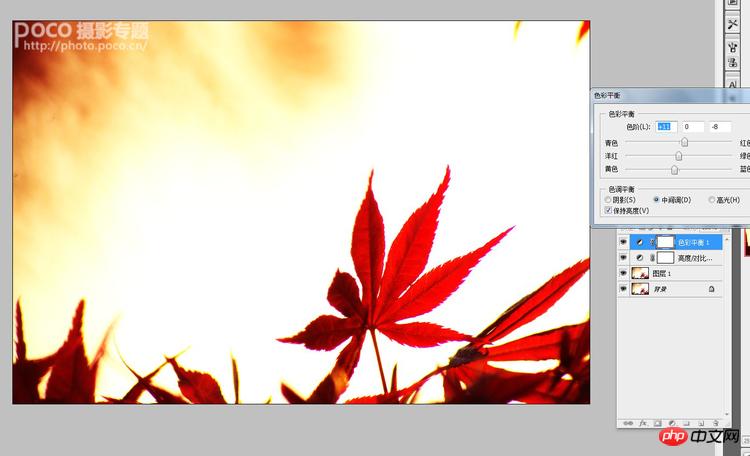 PS制作禅意唯美红色枫叶花卉