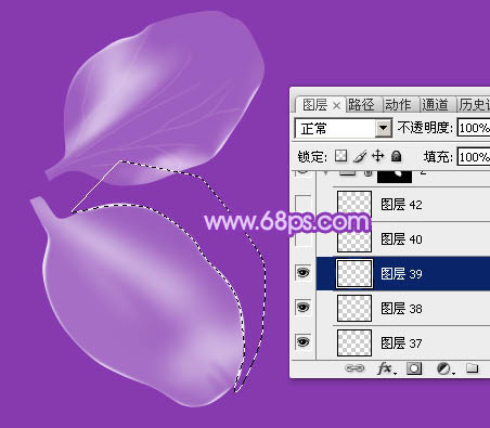 photoshop设计制作逼真漂亮的白色透明兰花花朵
