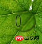 Photoshop设计制作出花瓣上滚动的水珠效果教程