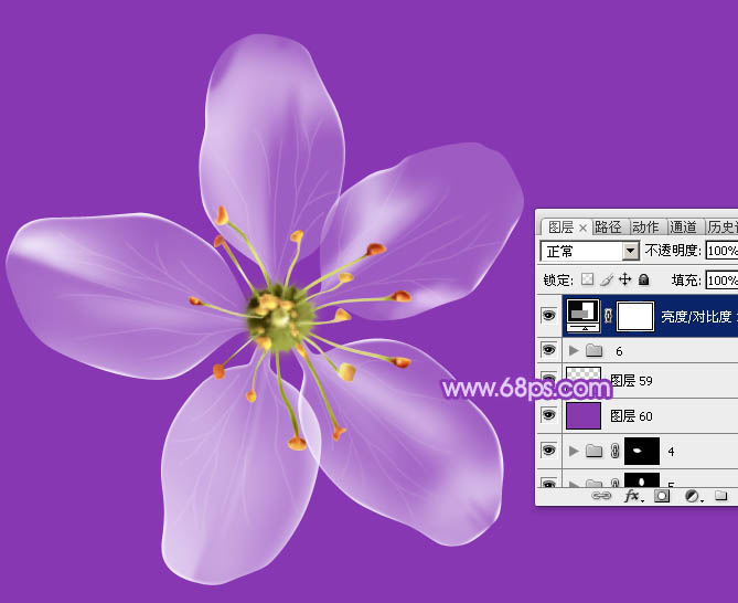 photoshop设计制作逼真漂亮的白色透明兰花花朵