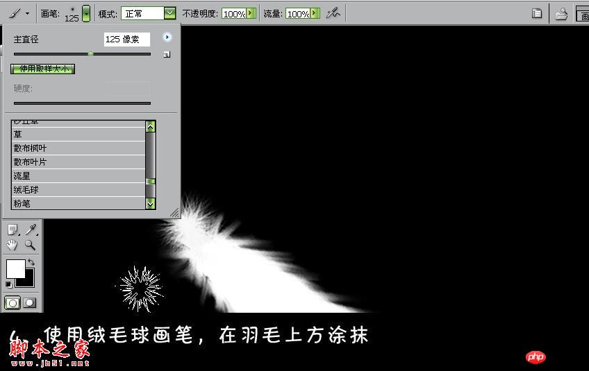 photoshop设计打造出漂亮的白色羽毛扇子