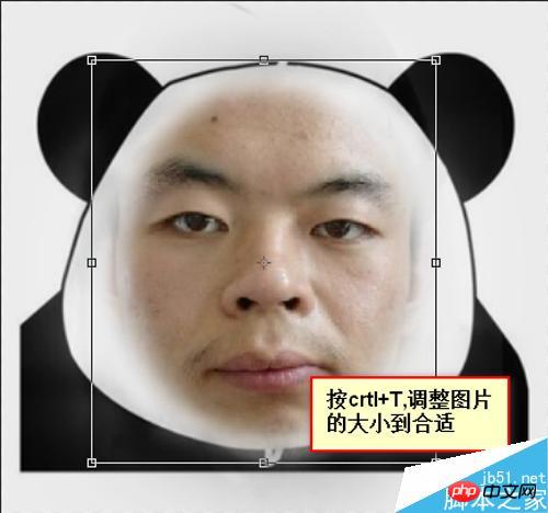 PS怎么把照片做成搞笑的qq表情