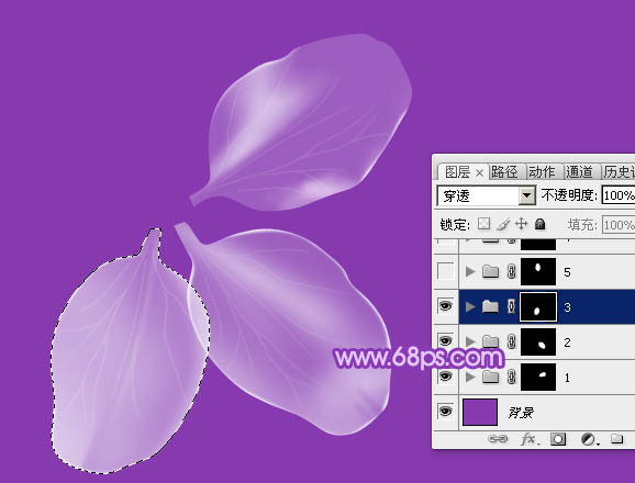 photoshop设计制作逼真漂亮的白色透明兰花花朵