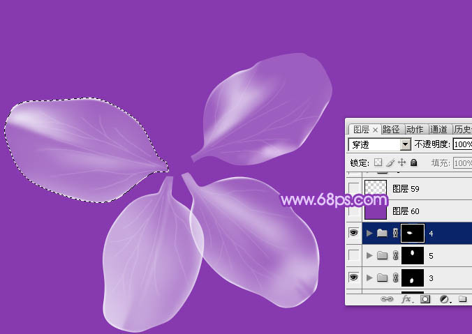 photoshop设计制作逼真漂亮的白色透明兰花花朵
