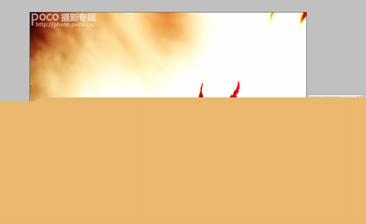 PS制作禅意唯美红色枫叶花卉