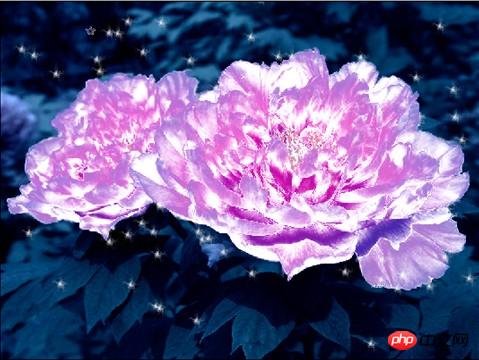 photoshop制作水晶牡丹教程