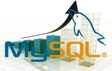 MySQL数据库不支持中文的解决办法