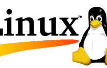 Linux系统如何查看MySQL版本号的办法分享