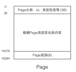 MySQL的InnoDB索引原理詳解