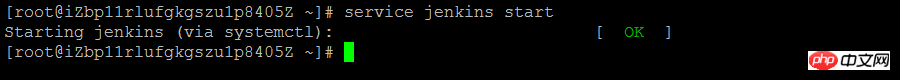 Jenkins在linux服務(wù)器上的安裝教程（圖）