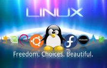 关于linux启动流程的具体介绍