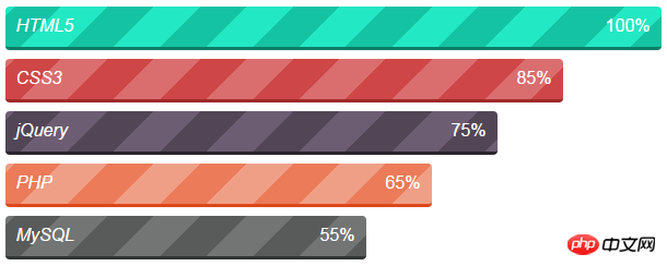 css3-skill-progress-bar
