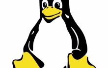 详谈关于Linux中netstat命令