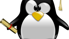 Note 007 rsync command compares files but does not synchronize them