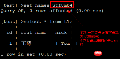 So gehen Sie mit dem Fehler um, der beim Einfügen seltener Zeichen in MySQL fehlschlägt (Bild)