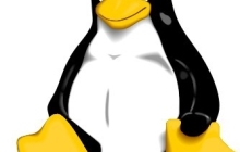 关于 Centos/Linux下调整分区大小的图文教程