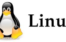 Linux下关于Nginx安装教程的图文详解