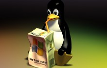 Linux中关于别名与二进制的使用教程