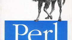 Socket programming using Perl language