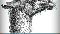Classic usage of Perl: reading multiple records