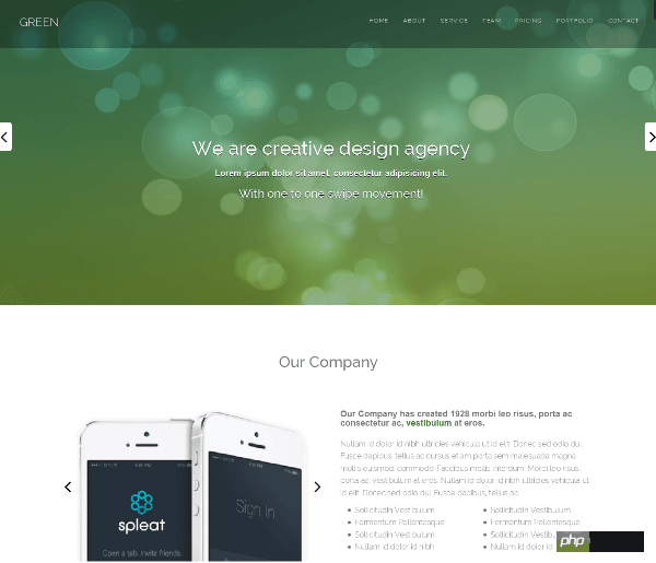 bootstrap-html5-website-templates12