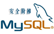 高性能MySQL-特定类型查询的优化详解
