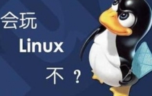 Linux find15个常用命令