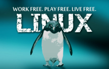 LINUX中关于NGINX反向代理下的TOMCAT集群的详细介绍