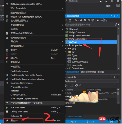 WeChat development vs remote debugging