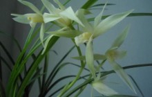 对行内元素与块级元素之间转换的详细教程