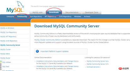 Windows 10 システムで PHP 開発環境を構成する方法