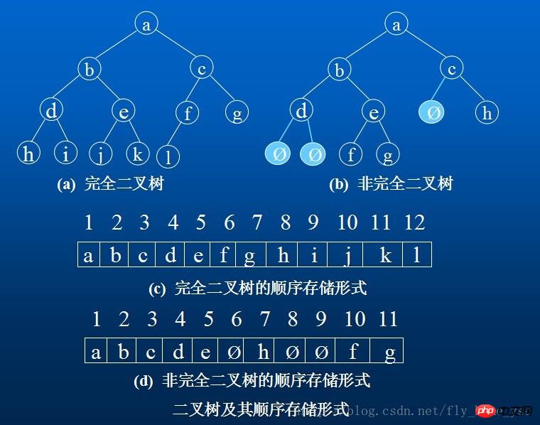 js はデータ構造を実装します: ツリーとバイナリ ツリー、バイナリ ツリーのトラバーサルと基本的な操作方法