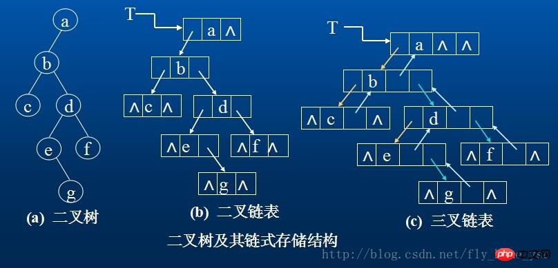 js はデータ構造を実装します: ツリーとバイナリ ツリー、バイナリ ツリーのトラバーサルと基本的な操作方法