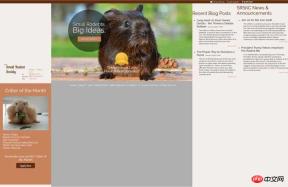 CSS uses Grid layout to build website homepage
