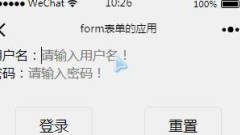 Das WeChat-Applet implementiert einfach ein Formular, um Eingabedatenbeispiele für die gemeinsame Nutzung zu erhalten
