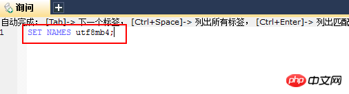 MySQL이 희귀 문자를 삽입하지 못하는 경우 수행할 작업