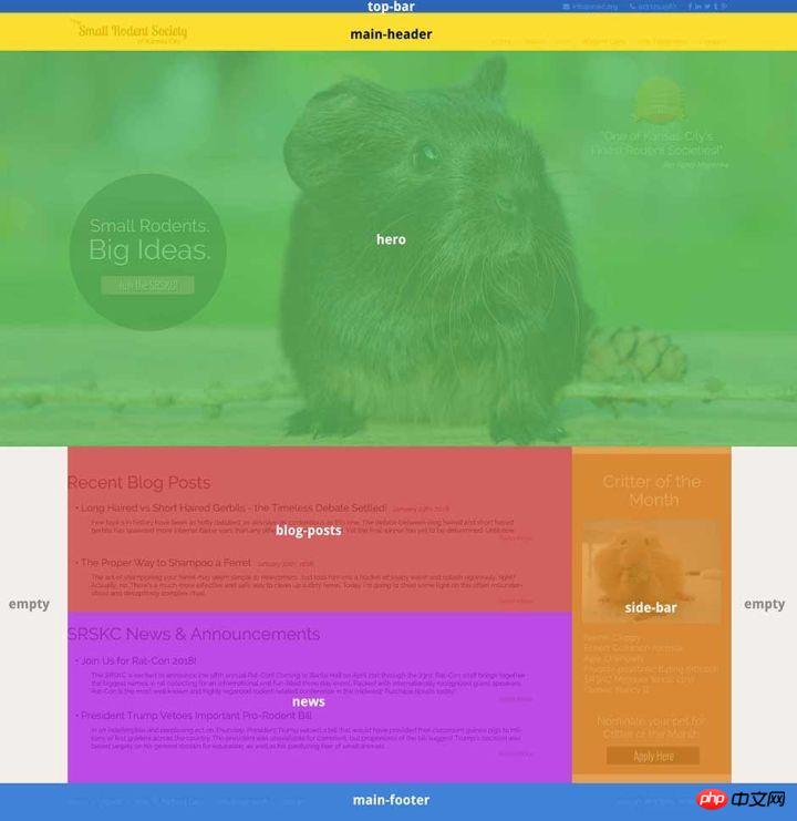 CSS verwendet das Rasterlayout zum Erstellen der Website-Homepage