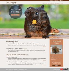 CSS uses Grid layout to build website homepage