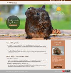 CSS uses Grid layout to build website homepage