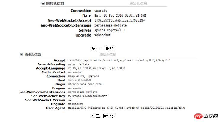 WebSocket 사용에 대한 자세한 설명