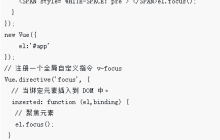 Vue.directive()的图文详解