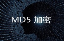 ASP.NET数据库密码：MD5加密算法详解