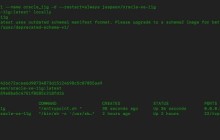 docker安装及配置oracle