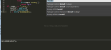 Sublime text 3 implements interactive environment