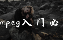 ffmpeg入门必备
