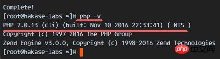 查看 PHP 版本号