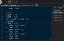 如何使用VSCode愉快的写Python于调试配置步骤_python