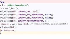 Curl_exec ?? ?? ? ??? ??? ??