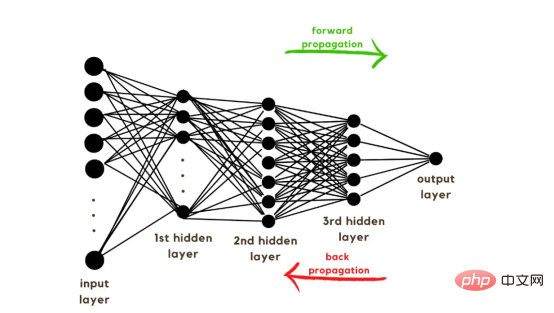 Praktische Anwendung eines Deep-Learning-Neuronalen Netzwerks zur Bildklassifizierung